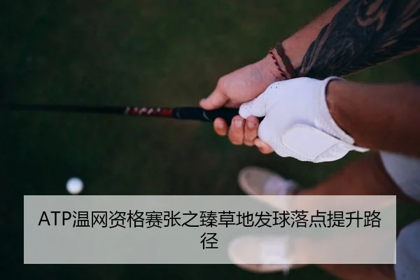 ATP温网资格赛张之臻草地发球落点提升路径